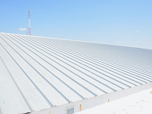 Roof Coating1