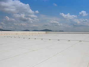 Flat Roof Replacement